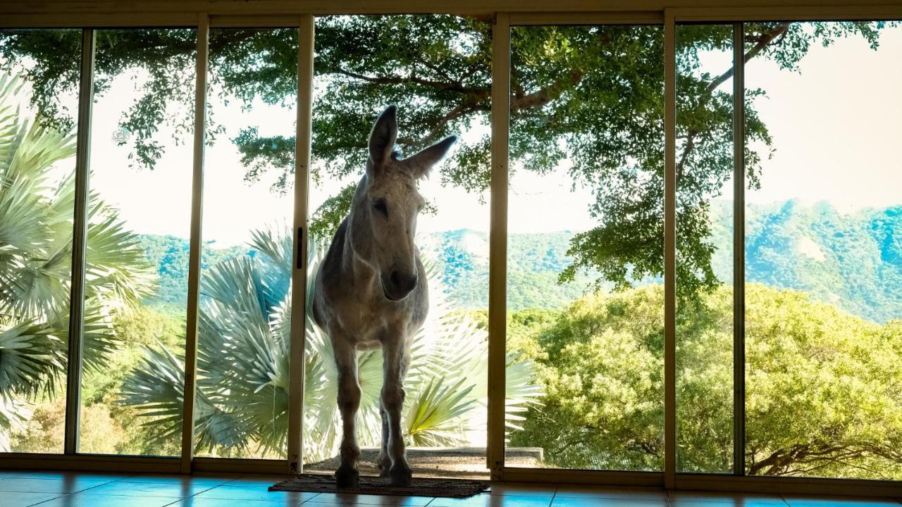 Rivland Resort Paita ภายนอก รูปภาพ